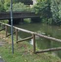 Treviso, drammatico ritrovamento nel fiume: ciclista senza vita scoperto dai residenti nel quartiere di Selvana 