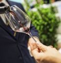 Record di vendite per le imprese vinicole opitergine: tre milioni di incassi da Pasqua al 2 giugno