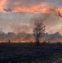 Grosso incendio sterpaglie in zona industriale