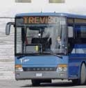 200 FIRME PER AVERE L'AUTOBUS