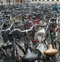 COMPRA UNA BICI RUBATA, DENUNCIATA PER RICETTAZIONE 