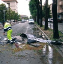 PIOGGIA, ABITAZIONI ALLAGATE A MONTEBELLUNA