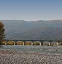 NUOVO PONTE DI VIDOR. CASELLATO: «OPERA INDISPENSABILE»