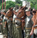 DOMENICA ALPINI IN ADUNATA