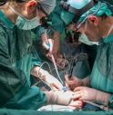 Trapianti, seconda paziente riceve rene maiale negli Usa, operata anche al cuore.