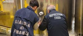 immagine della news