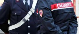 immagine della news