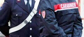 immagine della news