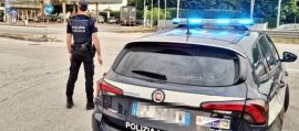 immagine della news