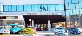 immagine della news