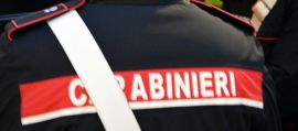 immagine della news