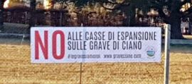 immagine della news