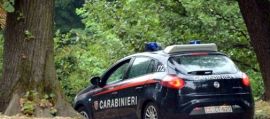 immagine della news