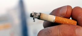 immagine della news