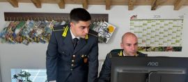 immagine della news