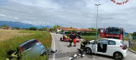 immagine della news