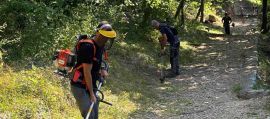 immagine della news