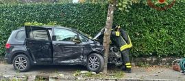 immagine della news