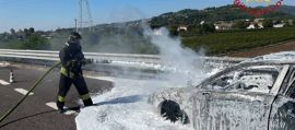 immagine della news