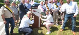 immagine della news
