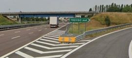 immagine della news