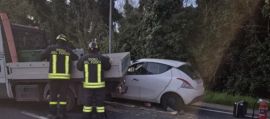 immagine della news