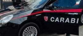 immagine della news