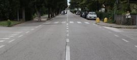 immagine della news