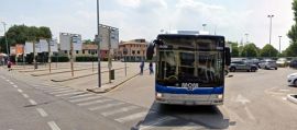 immagine della news