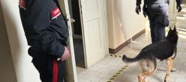 Foto d'archivio A scuola col machete. Sequestrate decine di armi tra i banchi di 276 istituti italiani