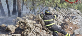 immagine della news