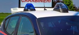 immagine della news