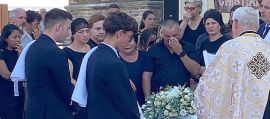 immagine della news