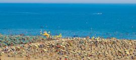 immagine della news