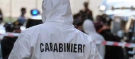 immagine della news
