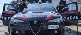 immagine della news