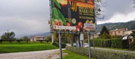 immagine della news