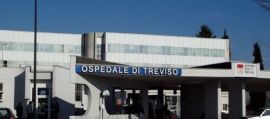 immagine della news