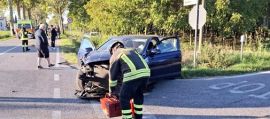 immagine della news