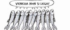 immagine della news