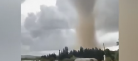 immagine della news