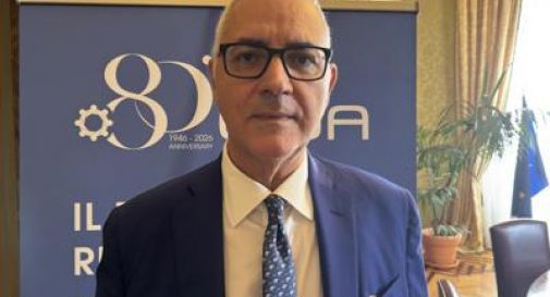 Cuzzilla (Cida): 