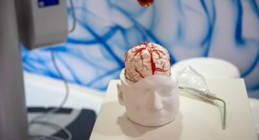 Dai gliomi al Parkinson, così l’intelligenza artificiale aiuta la Neurochirurgia.