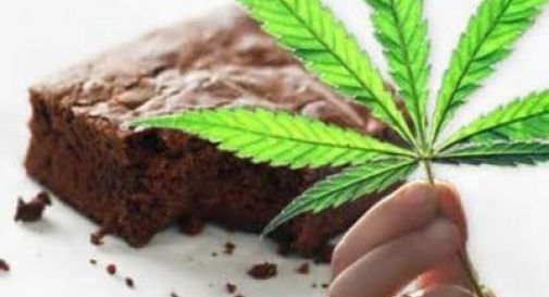 Mangiano una torta alla marijuana, 4 universitari finiscono in ospedale