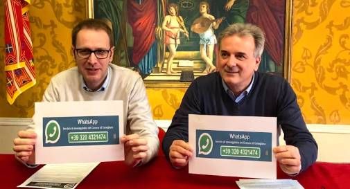 servizio whatsapp conegliano