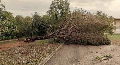 maltempo pieve di soligo