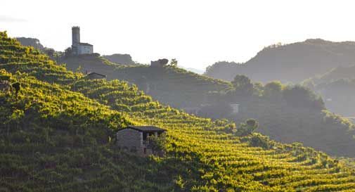 Colline del Prosecco patrimonio Unesco, la Regione spende altri 180mila euro: 