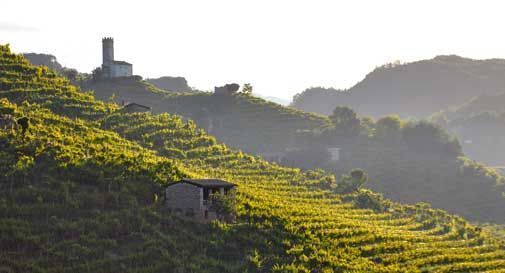 Colline del Prosecco, 'dalla proclamazione Unesco più presenze' 