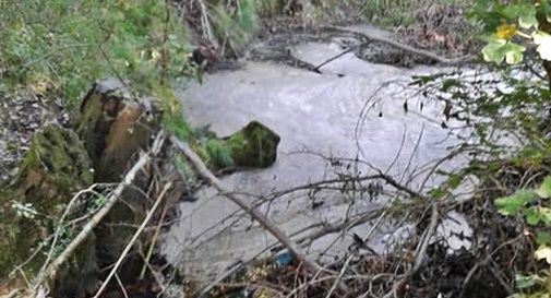 Schiuma sospetta nel torrente Raboso a Sernaglia