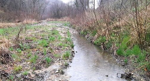 torrente Raboso